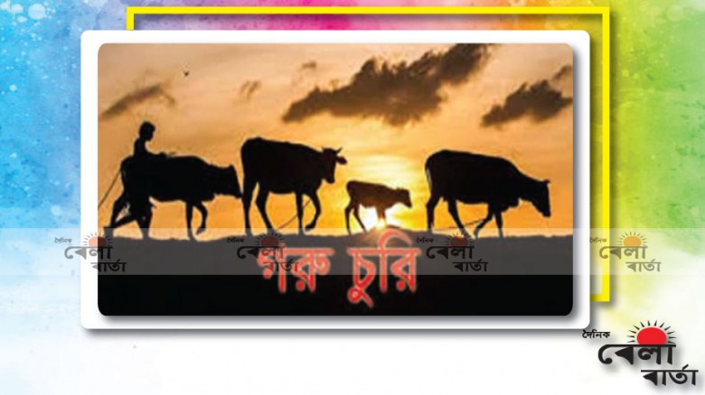 জিয়ানগরে একই রাতে একই এলাকার ০৩ বাড়িতে গরু চুরি