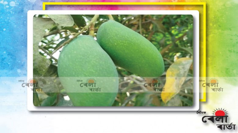 মাদক মামলায় পিরোজপুরে ০২ জনকে ১০ বছরের কারাদন্ড প্রদান