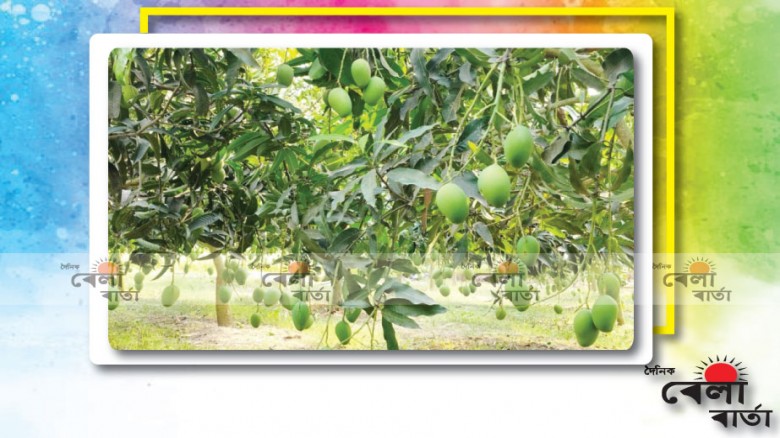 বিদায় বিশ্বের সবচেয়ে দরিদ্র প্রেসিডেন্ট